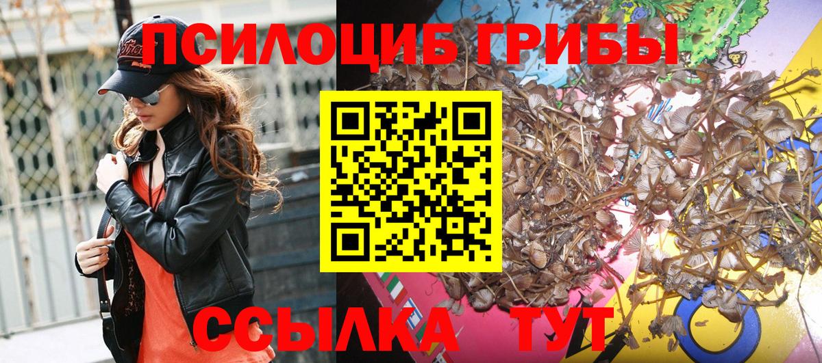 Галлюциногенные грибы ЛСД Фрязино